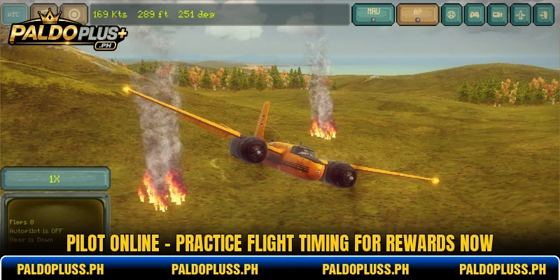 Pilot Online - Practice Flight Timing For Rewards Now