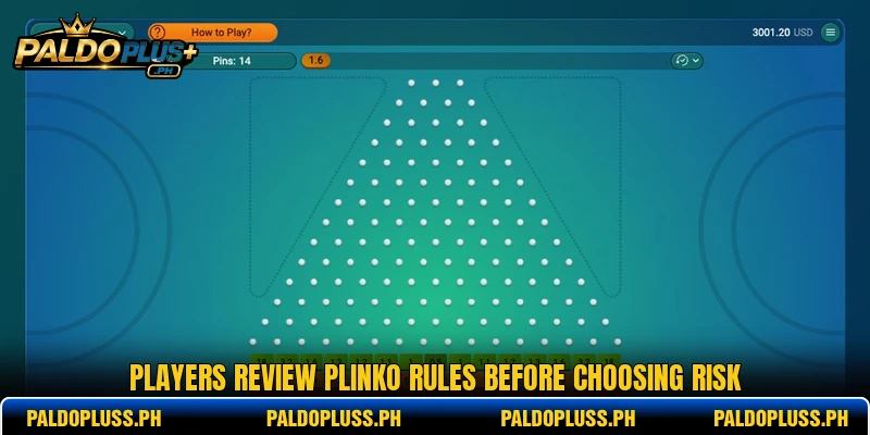Players review Plinko rules before choosing risk