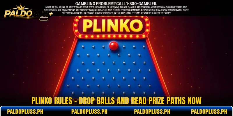 Plinko Rules - Drop Balls And Read Prize Paths Now